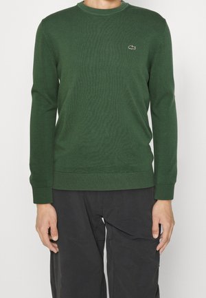 Pull vert à col ras du cou en tissu tricoté, avec des manches longues et un petit logo sur la poitrine, associé à un pantalon sombre.