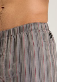 Hanro FANCY - Boxershorts - fading stripe
