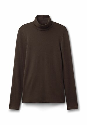 Brauner Rollkragenpullover aus weichem Material, mit langen Ärmeln und einer figurbetonten Passform, die eine glatte Textur aufweist und keine sichtbaren Verzierungen hat.