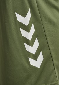 Gröna sportshorts med en mjuk textur och ett vitt chevronmönster på sidan, som framhäver en modern design.