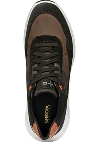 Geox Zapatillas - dark coffee