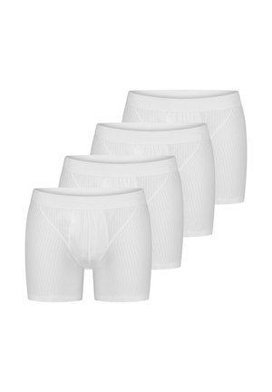 4 PACK - Boxer brief - weiß