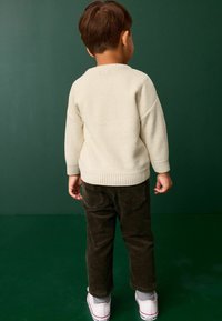 Next CHRISTMAS CREW NECK - REGULAR FIT - Džemperis - neutral characters