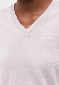 Primo piano di una persona che indossa un maglione con scollo a V beige chiaro con un piccolo logo bianco ricamato sul petto a sinistra.