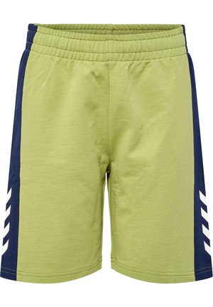 HMLRUSH BLOCK  - Krótkie spodenki sportowe