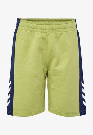 Hummel HMLRUSH BLOCK - Kurze Sporthose - green olive