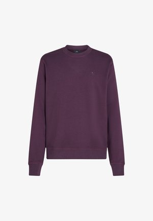 Paarse sweatshirt van een katoenmix, met lange mouwen, geribbelde manchetten, een ronde hals en een klein geborduurd logo op de borst.