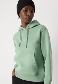 Mintgrön hoodie med justerbar huva, ficka fram och ribbade ärmslut. Har logotyp på bröstet och mjukt, strukturerat tyg.
