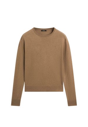 WITH CREW NECK  - Jumper - brown