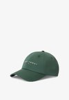LINEAR LOGO EMBROIDERY BASEBALL CAP - Casquette - shadow pine