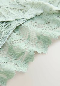 Tissu en dentelle vert clair avec un bord festonné, présentant des motifs en mailles ouvertes et des zones texturées, mettant en valeur des détails complexes et une douceur.