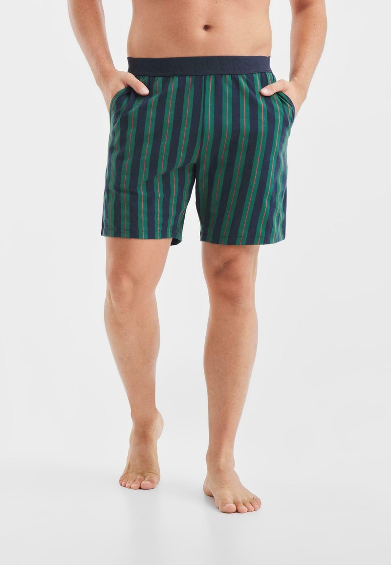 Herrsim shorts med ett mönster av vertikala ränder i grön, blå och röd färg, elastisk midja och sidfickor. Materialet verkar lätt.