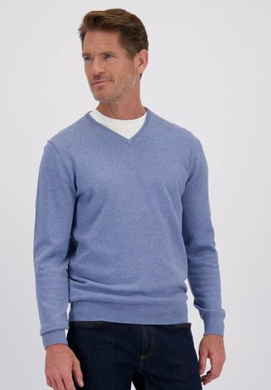 Homme ayant les cheveux bruns courts, portant un pull col V bleu clair sur une chemise blanche et un jean noir, regardant sur le côté devant un fond uni.