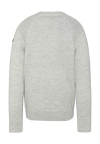 Maglione grigio chiaro con collo tondo, texture lavorata a maglia e maniche lunghe. Presenta spalle raglan e un'etichetta di marchio sulla manica sinistra.
