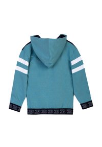 Felpa con cappuccio in cotone teal con accenti navy, caratterizzata da strisce bianche sulle maniche e un orlo navy decorato. Vista posteriore mostrata.