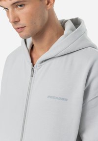 Pegador COLNE LOGO JACKET - Sweatjakke - washed clear grey