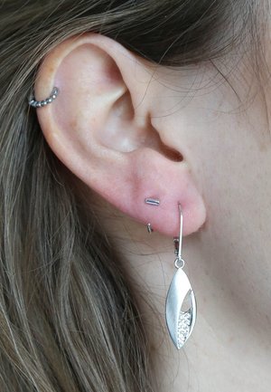 Earrings - silver-coloured