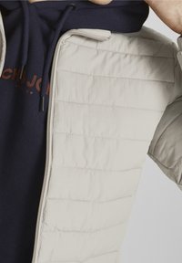 Jack & Jones PREMIUM Allvädersjacka - beige