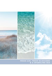 Yankee Candle SIGNATURE MEDIUM JAR OCEAN AIR - Doftljus - blue