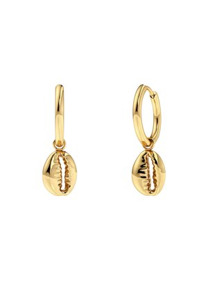 Kultaiset rengaskorvakorut, joissa roikkuu kiillotettu kultainen kauri-kuori riipus, valkoisella taustalla.