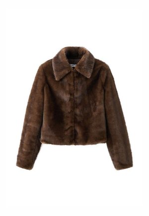 Chaqueta de invierno - brown