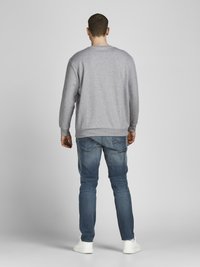 Felpa grigia in pile con scollatura a girocollo, abbinata a jeans in denim blu. Sneakers bianche visibili. Tessuto morbido e vestibilità casual.