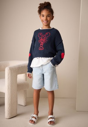 Next, REGULAR FIT - LOBSTER  - Jumper - navy