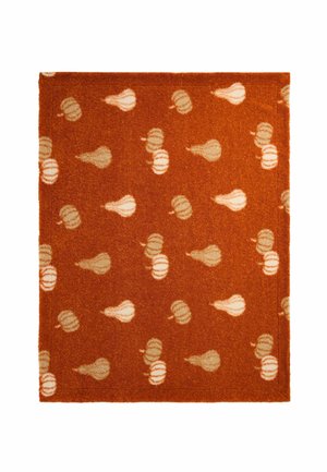 Next, COSY BORG PUMPKIN FLEECE THROW UNISEX - Throw - orange