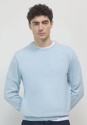Light blue crew-neck sweatshirt made of soft, textured fabric. Ribbed cuffs and hem for a snug fit. Simple design, no visible patterns or accents.