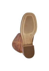 Nelson Laarzen - cognac