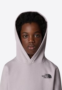The North Face REGULAR - Sweat à capuche - moonstone grey