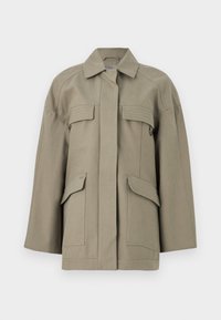 Δεν επιλέχθηκε, corno grigio verde