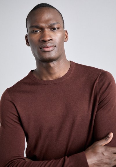 Tiger of Sweden NICHOL - Pullover - pure decadence