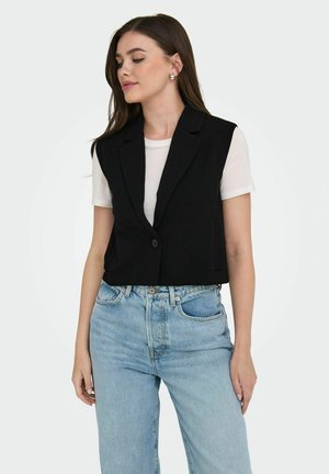 JDYGEGGO - Veste sans manches - black