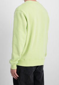 Light green sweatshirt with long sleeves, ribbed cuffs and hem, and a simple design. Back view shows a small tag at the neckline.
