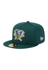 Cappellino - gruen