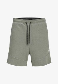 Ausgewählt, desert sage