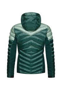 Giacca isolata verde con cappuccio. Presenta un motivo a chevron, pannelli delle spalle in verde chiaro a contrasto e una superficie liscia e elegante.