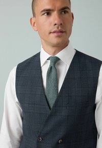 Homme portant une chemise blanche, une cravate verte texturée et un gilet à carreaux gris foncé croisé, regardant légèrement sur le côté.