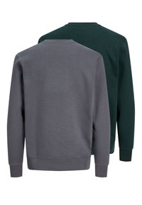 Deux sweat-shirts à manches longues avec col rond, un gris devant et un vert foncé derrière, montrés de dos sur fond blanc.