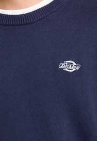 Artimas tamsiai mėlynos spalvos megztinio su balta raštuota apykakle ir mažuoju baltu siuvinėtu Dickies logotipu krūtinėje.