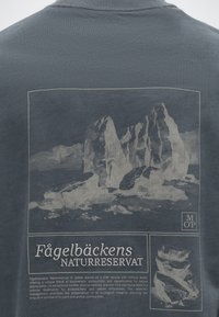 Τοπίο με πετρώματα και κείμενο "Fågelbäckens Naturreservat" και περιγραφή για τη βιοποικιλότητα και την προσβασιμότητα του φυσικού καταφυγίου.