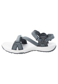 Non selezionato, bluish grey   rose