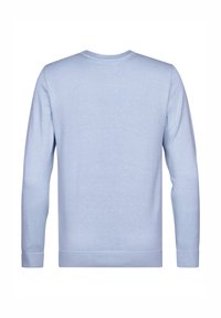 Pull bleu clair avec un col rond, des manches longues, des poignets côtelés et une texture lisse. La vue de dos présente un design simple et minimaliste.