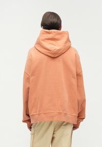 Carhartt WIP HOODED BENTON - Športni pulover - redhaven