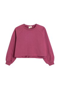 Felpa accorciata in un profondo mauve, realizzata in tessuto morbido. Presenta maniche raglan con polsini elasticizzati e un collo rotondo. Design semplice.