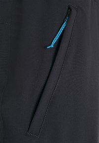 Icepeak Friluftsshorts - grey