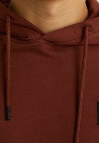CHASIN' Felpa con cappuccio - brown