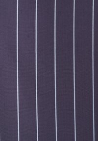 Tessuto di un viola scuro con strisce verticali azzurro chiaro. La trama sembra robusta e tessuta, creando un motivo classico.