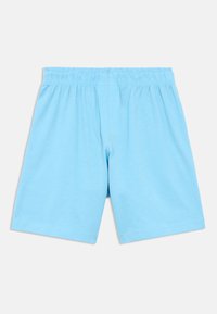 Ανοιχτό μπλε σορτς από μαλακό ύφασμα με ελαστική μέση. Ομαλή υφή, μήκος μέχρι το γόνατο, χωρίς επιπλέον σχέδια ή διακοσμήσεις.